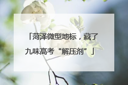 菏泽微型地标，藏了九味高考“解压剂”