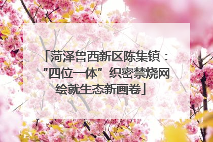菏泽鲁西新区陈集镇：“四位一体”织密禁烧网 绘就生态新画卷