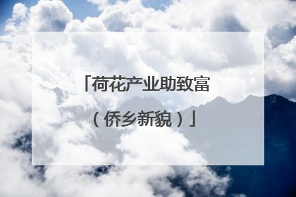 荷花产业助致富（侨乡新貌）