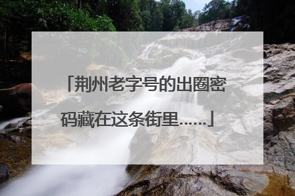 荆州老字号的出圈密码藏在这条街里……