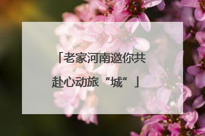 老家河南邀你共赴心动旅“城”