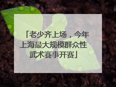 老少齐上场，今年上海最大规模群众性武术赛事开赛