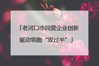 老河口市民营企业创新驱动领跑“双过半”