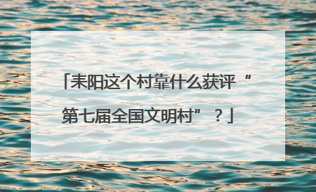 耒阳这个村靠什么获评“第七届全国文明村”？