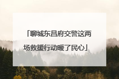 聊城东昌府交警这两场救援行动暖了民心