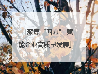 聚焦“四力” 赋能企业高质量发展