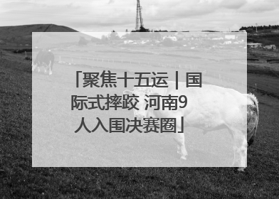 聚焦十五运｜国际式摔跤 河南9人入围决赛圈