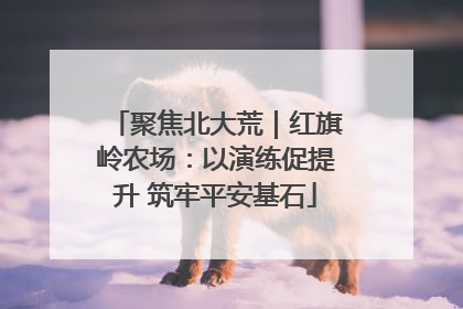 聚焦北大荒｜红旗岭农场：以演练促提升 筑牢平安基石