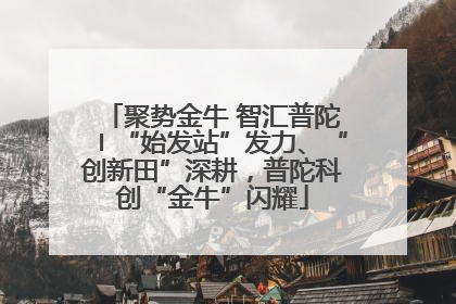 聚势金牛 智汇普陀〡“始发站”发力、“创新田”深耕，普陀科创“金牛”闪耀