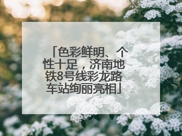 色彩鲜明、个性十足，济南地铁8号线彩龙路车站绚丽亮相