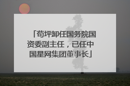 苟坪卸任国务院国资委副主任，已任中国星网集团董事长