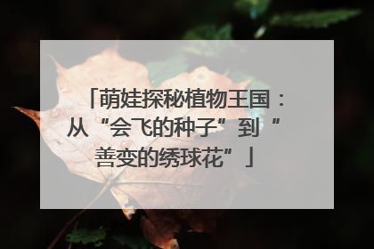 萌娃探秘植物王国：从“会飞的种子”到“善变的绣球花”