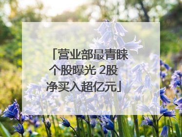 营业部最青睐个股曝光 2股净买入超亿元