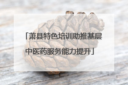 萧县特色培训助推基层中医药服务能力提升