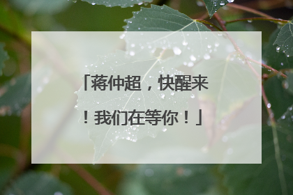 蒋仲超，快醒来！我们在等你！