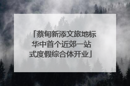 蔡甸新添文旅地标 华中首个近郊一站式度假综合体开业