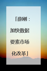 薛刚：加快数据要素市场化改革
