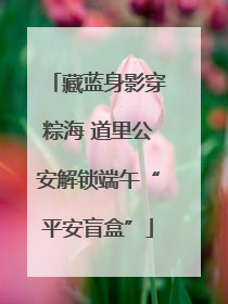 藏蓝身影穿粽海 道里公安解锁端午“平安盲盒”