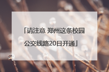 请注意 郑州这条校园公交线路20日开通