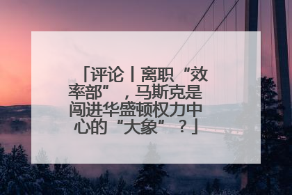 评论丨离职“效率部”，马斯克是闯进华盛顿权力中心的“大象”？
