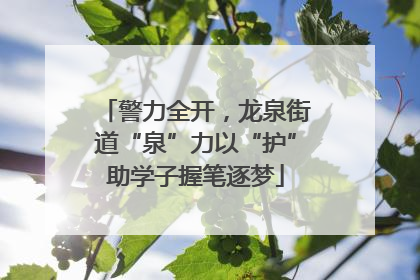 警力全开，龙泉街道“泉”力以“护”助学子握笔逐梦