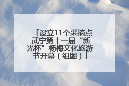 设立11个采摘点 武宁第十一届“新光杯”杨梅文化旅游节开幕（组图）