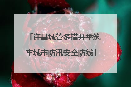 许昌城管多措并举筑牢城市防汛安全防线