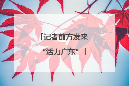 记者前方发来“活力广东”