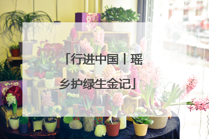 行进中国丨瑶乡护绿生金记