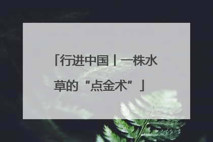 行进中国丨一株水草的“点金术”