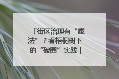 街区治理有“魔法”？看梧桐树下的“破圈”实践｜我在街区当书记