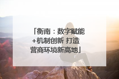 衡南：数字赋能+机制创新 打造营商环境新高地