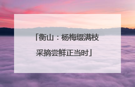 衡山：杨梅缀满枝 采摘尝鲜正当时