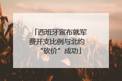 西班牙宣布就军费开支比例与北约“砍价”成功