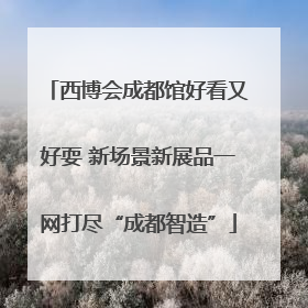 西博会成都馆好看又好耍 新场景新展品一网打尽“成都智造”