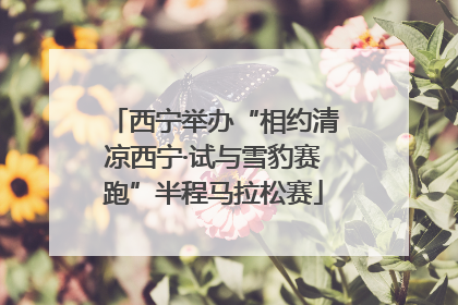 西宁举办“相约清凉西宁·试与雪豹赛跑”半程马拉松赛