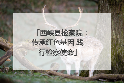 西峡县检察院：传承红色基因 践行检察使命