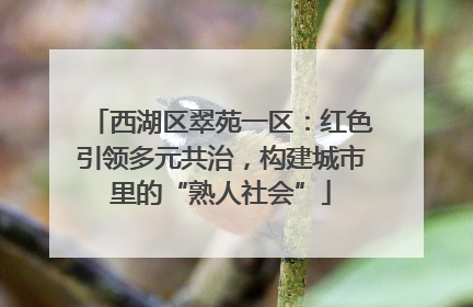 西湖区翠苑一区：红色引领多元共治，构建城市里的“熟人社会”