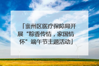 襄州区医疗保障局开展“粽香传情，家国情怀”端午节主题活动
