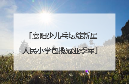 襄阳少儿乓坛绽新星 人民小学包揽冠亚季军