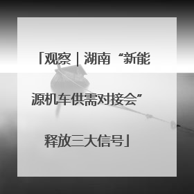 观察｜湖南“新能源机车供需对接会”释放三大信号