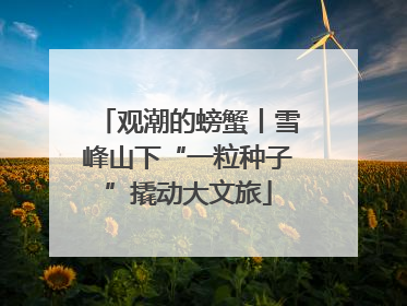 观潮的螃蟹丨雪峰山下“一粒种子”撬动大文旅
