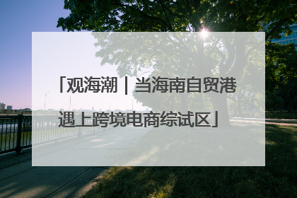 观海潮｜当海南自贸港遇上跨境电商综试区