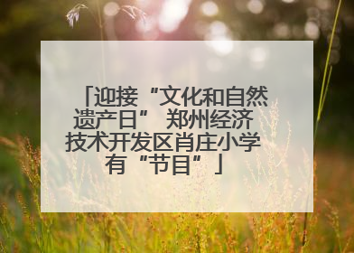 迎接“文化和自然遗产日” 郑州经济技术开发区肖庄小学有“节目”