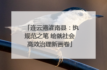 连云港灌南县：执规范之笔 绘就社会高效治理新画卷