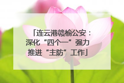 连云港赣榆公安：深化“四个一”强力推进“主防”工作