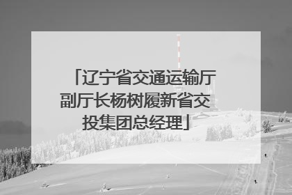 辽宁省交通运输厅副厅长杨树履新省交投集团总经理