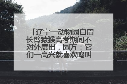 辽宁一动物园白眉长臂猿猴高考期间不对外展出，园方：它们一高兴就喜欢鸣叫，怕影响考试