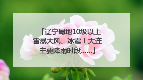 辽宁局地10级以上雷暴大风、冰雹！大连主要降雨时段……