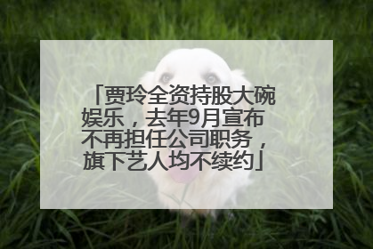 贾玲全资持股大碗娱乐，去年9月宣布不再担任公司职务，旗下艺人均不续约